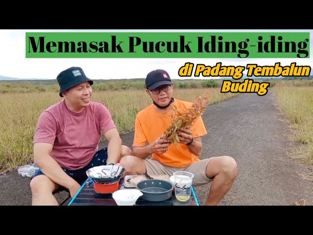 MEMASAK PUCUK IDING-IDING DI PADANG TEMBALUN DESA BUDING | MASAKAN YANG SIMPEL DAN ENAK class=