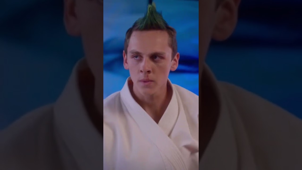 Cobra Kai Hawk Vs Karate Kid Hawk