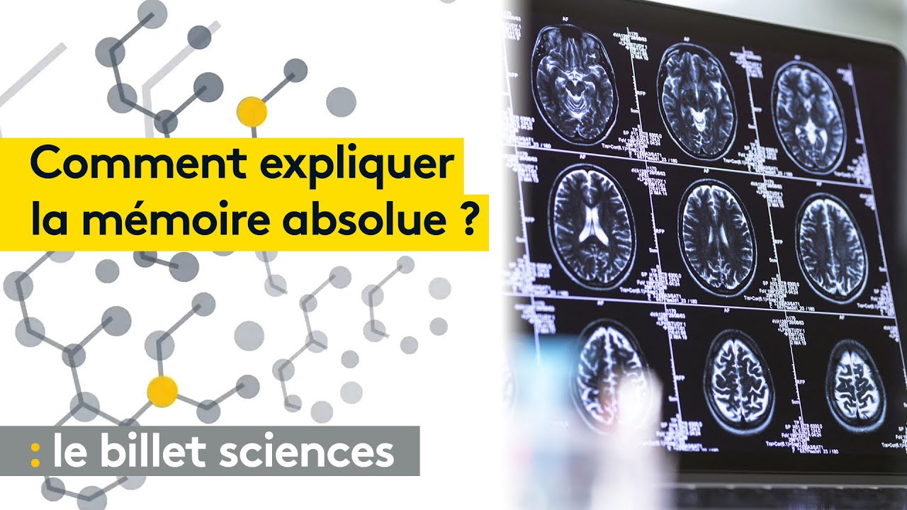 Mémoire absolue : les secrets de ceux qui se souviennent de tout