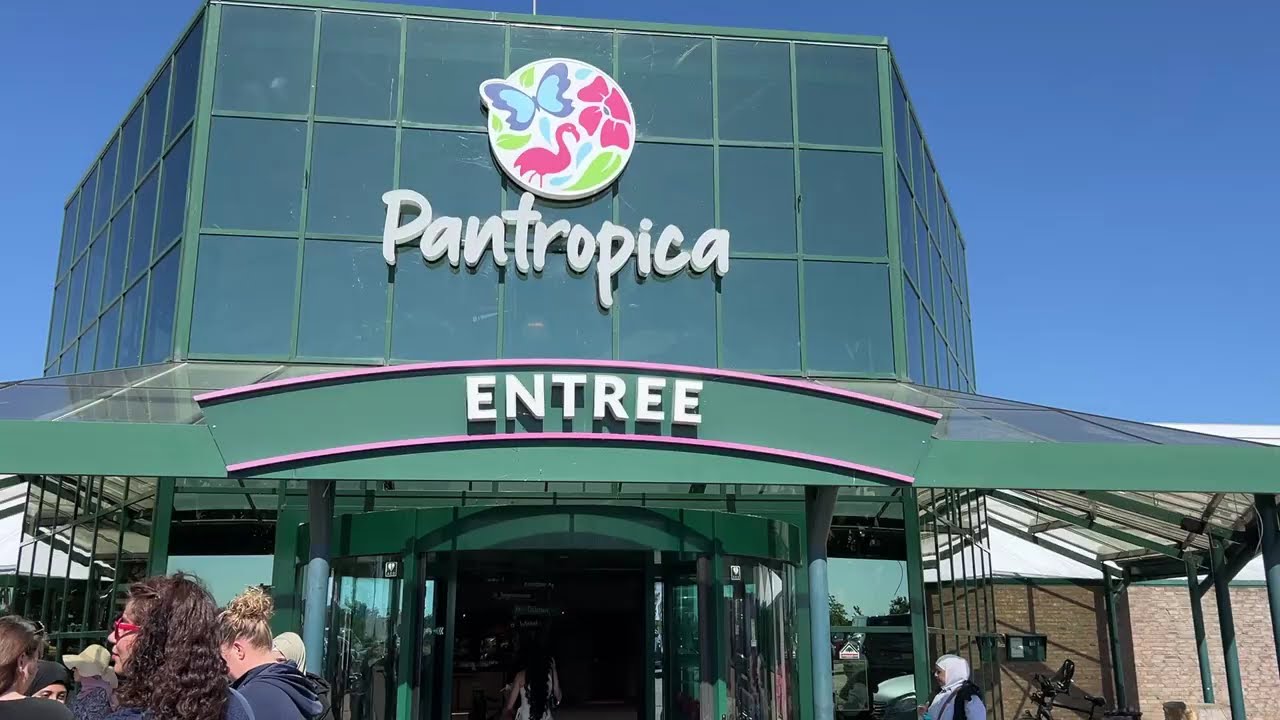 Pantropica, NL: Ep.1 Entry