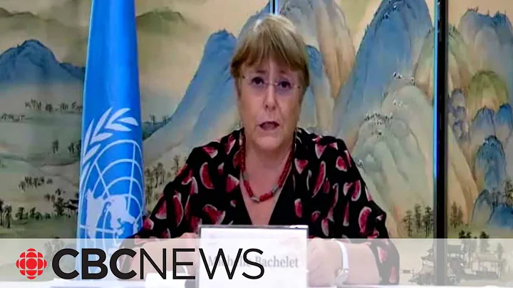 Scholars say UN human rights chief ignored abuses in China - DayDayNews