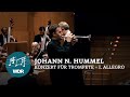 Miniature de la vidéo de la chanson Concerto In D Major For Trumpet And Orchestra: I. Adagio