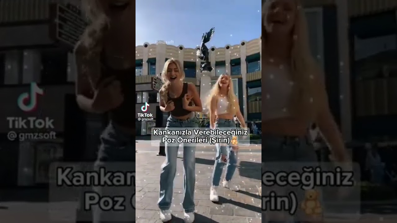 poz &ouml;nerisi~zynp