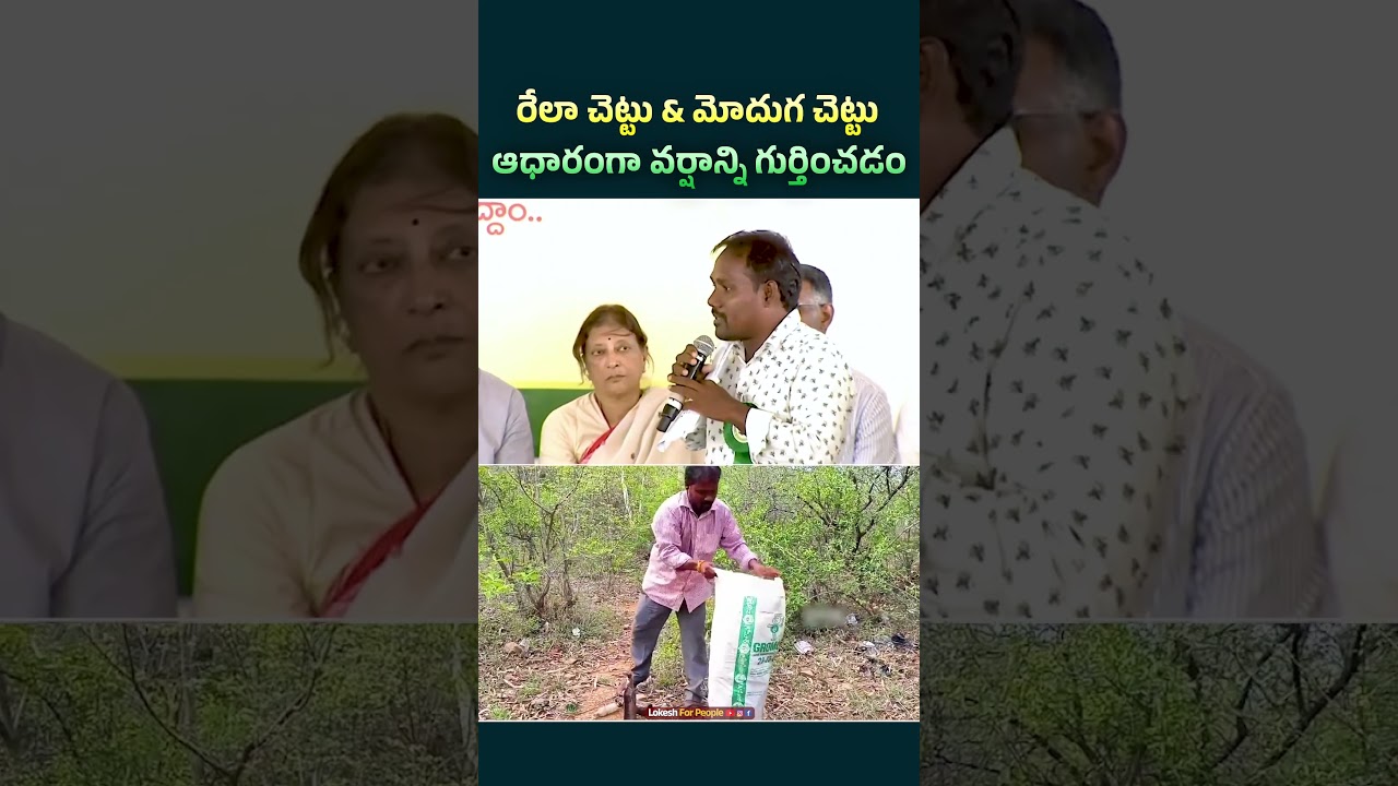 ప్రకృతితో సైన్స్ కూడా పనిచేయదు!!🙏👌🌳🌿రేలా చెట్టు & మోదుగ చెట్టు ఆధారంగా వర్షాన్ని గుర్తించడం..☘️🌧..