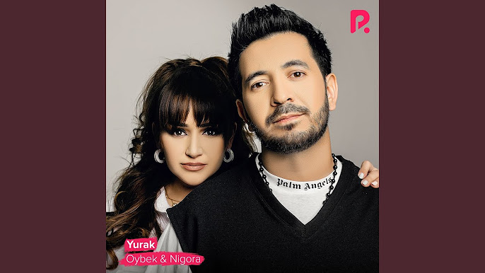 Onlayn biseksual va gey porno