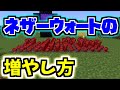 【マイクラのネザーウォート栽培の方法】育て方がわかります【ゆっくりマイクラ実況】