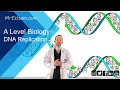 DNA Replication Quiz