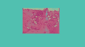 MCEN 4151 Flow Visualization IV03