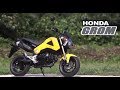 【オートバイ】HONDA GROM(2013年) 試乗レポート の動画、YouTube動画。