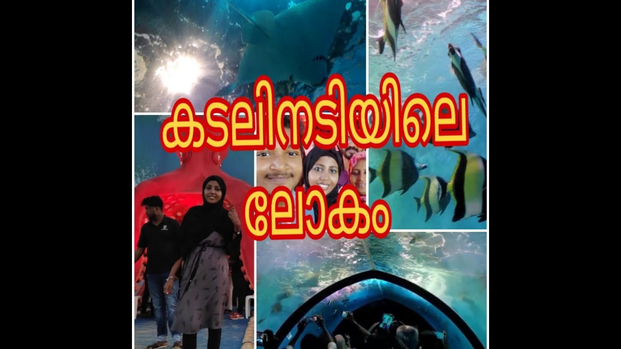 കടലിനടിയിലൂടെ ഒരു യാത്ര Oceanos underwater expo Malayalam YouTube
