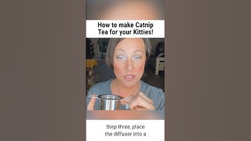 How to make CatNip Tea for your Cats!