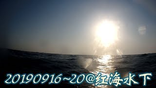 20190916~20@紅海水下