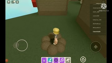 how to find pebble marker | roblox find the markers