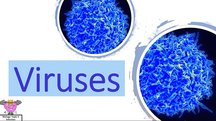 Biology Topic 3 Bacterial, Viral and Fungal Infections