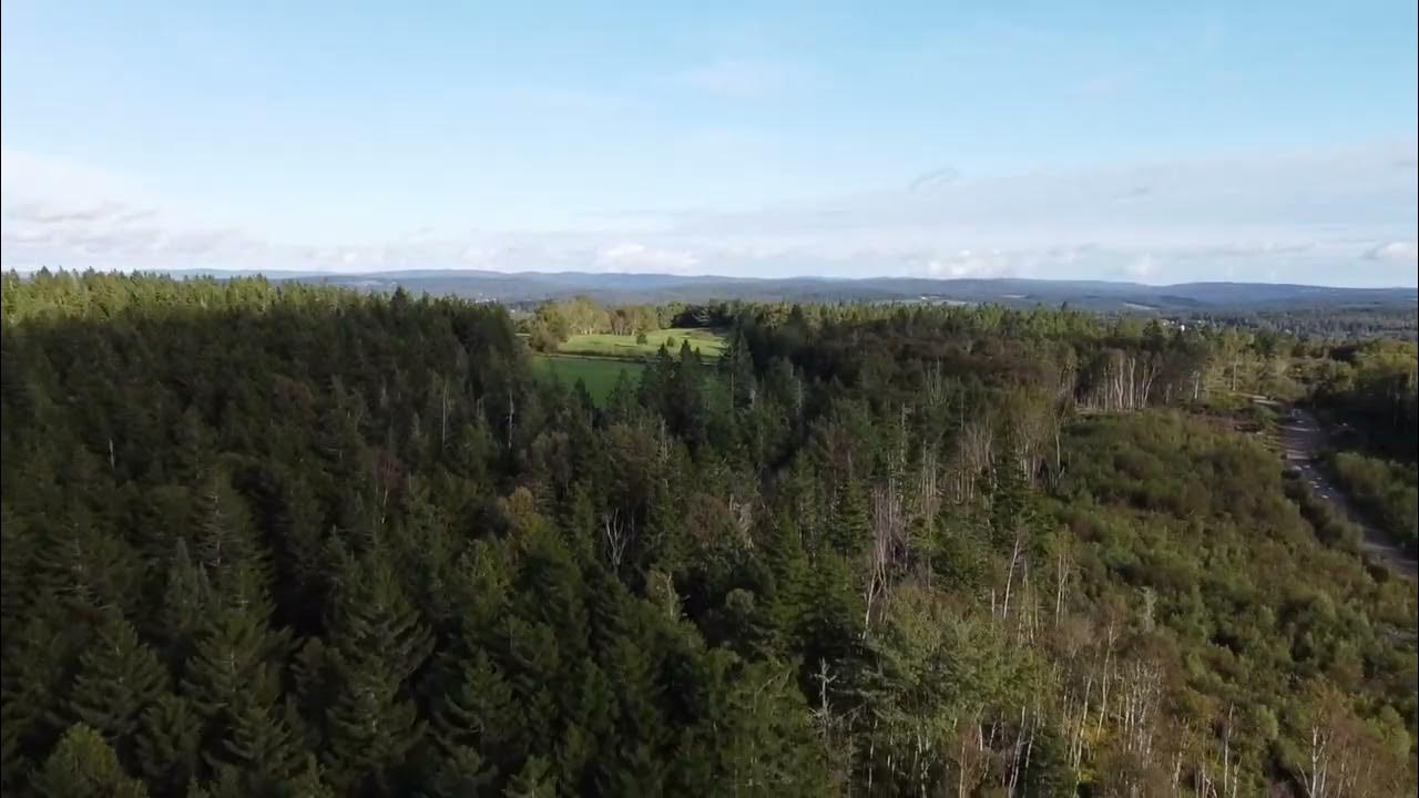 Land for sale in Kingston, New Brunswick YouTube