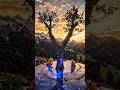 Galaxy Rift Portal Tree 🌌✨ | Hypnotic Resin Vortex Build #shorts