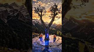 Galaxy Rift Portal Tree 🌌✨ | Hypnotic Resin Vortex Build #shorts