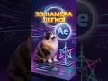 Работа с 3D камерой в After Effects лучший плагин