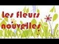 Miniature de la vidéo de la chanson Les Fleurs Nouvelles