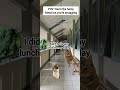 The Sad Reality of the Class Clown 😭 #shorts #relatable #funny #catmemes