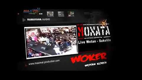 Monata terbaru selangkung