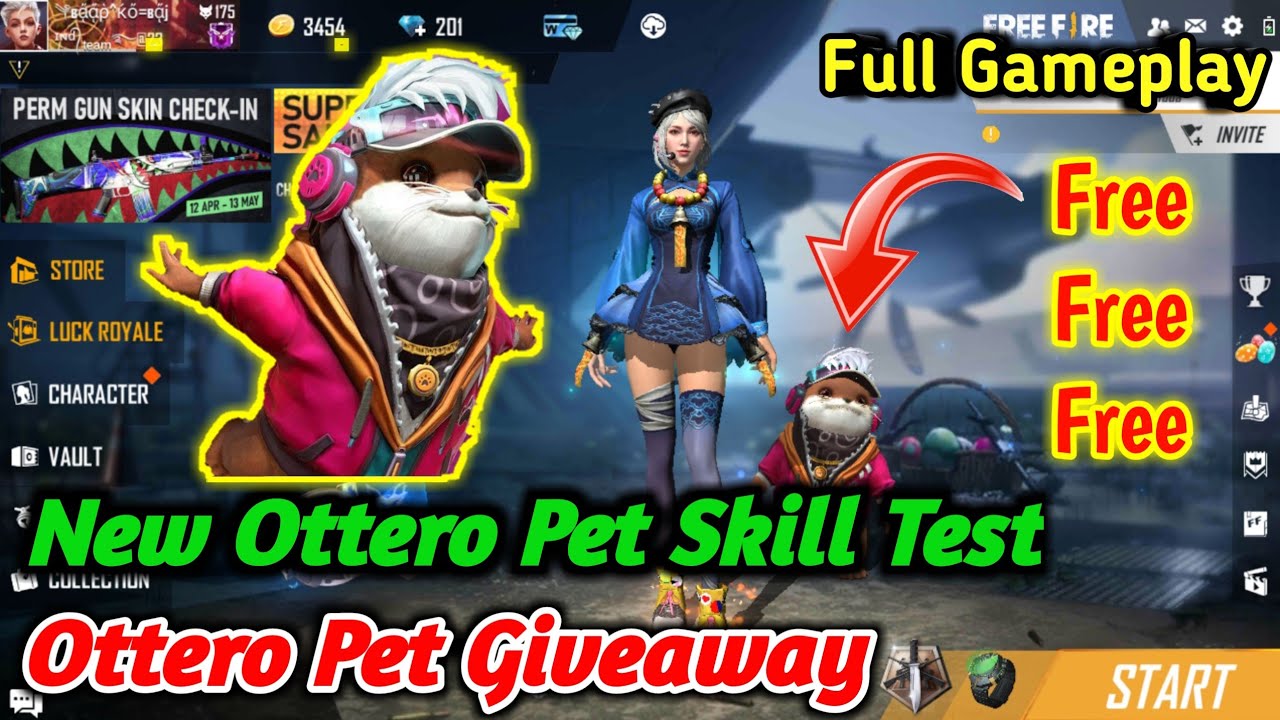 New Ottero Pet Skill Test and Giveaway || Full Game Play