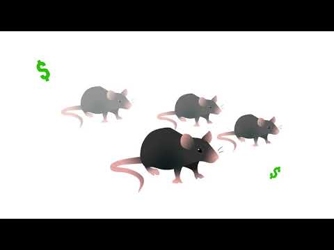 Video: Hilangnya Fungsi Fenotipe Strain Mouse Knockin PKCθ T219A
