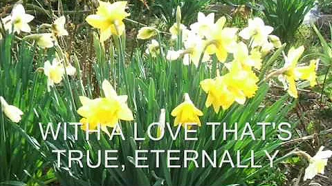 ETERNALLY  - a song from 1952 BY CHARLIE CHAPLIN, ...