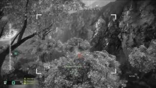 Battlefield Bad Company 2: uav roadkill