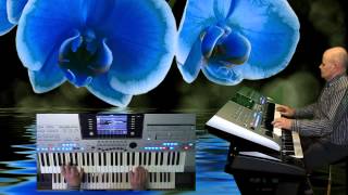 Blue Orchid © VRmusics Shadows style chords