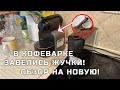 В кофемашине завелись жучки! Обзор на самую дешевую кофемашину Nespresso Essenza Mini