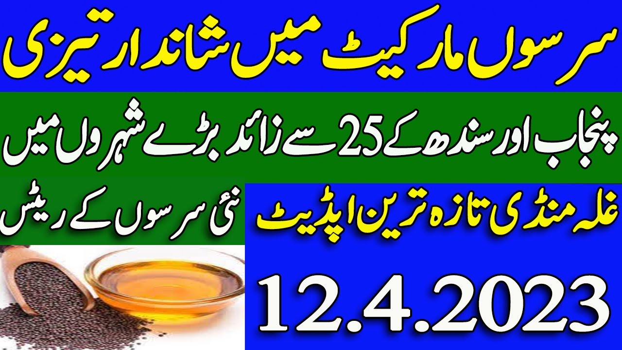 Today Sarson 2023 Price In Pakistan 12 April 2023 Canola Rate YouTube today-sarson-2023-price-in-pakistan-12-april-2023-canola-rate-youtube