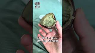 현팔이의 주말 #다이어트 #다이어트식단 #체중감량 #diet #브이로그 #다이어트일기 #다이어트브이로그