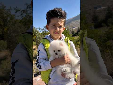 cute dog followed the child home 🥹👻♥️#shorts