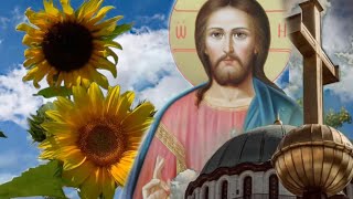 видео: Божият промисъл. Пашкулът на ПЕПЕРУДАТА. ,,Каквото виждате, използвайте го като връзка с Бога картинка: Божият промисъл. Пашкулът на ПЕПЕРУДАТА. ,,Каквото виждате, използвайте го като връзка с Бога