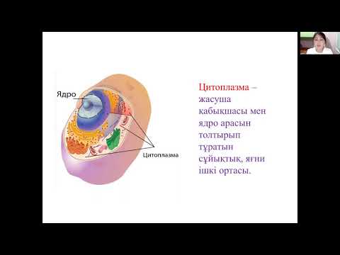 Бейне: Лакросса дегеніміз не?