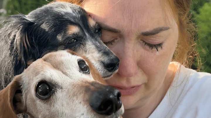 LAST DAY with OLiVE and KOOPA ❤️‍🩹   Dogs Funeral on pirate island for our final family goodbye