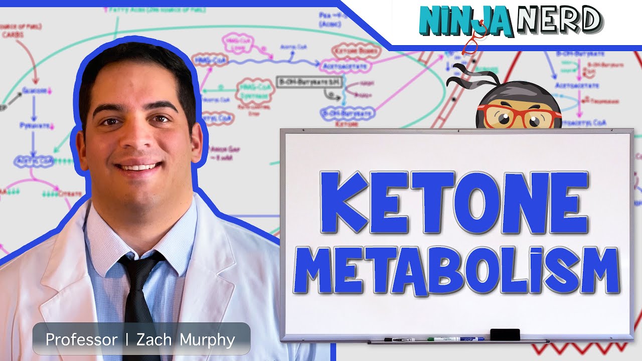 Metabolism | Ketone Metabolism