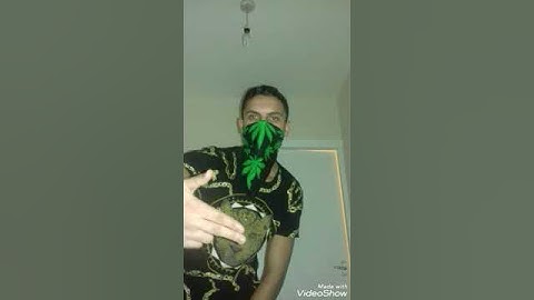 tibor bfd  king