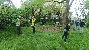 Volunteers SAVE trees from invasive vegetation on Earth Day
