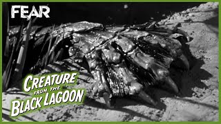 The Creature's Hand (Opening Scene) | Creature From The Black Lagoon (1954)