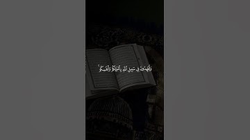 تلاوة خاشعة ومؤثرة للشيخ #ماهر_المعيقلي #تلاوة_خاشعة #ريحانة_قرآن #قرآن #quran #راحة_نفسية #تلاوات
