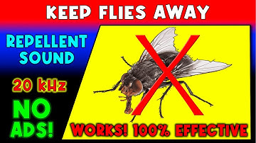 ANTI FLIES REPELLENT SOUND ⛔🦟 KEEP FLIES AWAY - ULTRASONIC SOUND