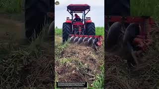 INSANE DISC HARROW IN ACTION! WATCH THIS TRACTOR TRANSFORM HARD SOIL FAST!