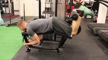 Lying leg curls, Poliquin (dorsi flexion to plantar flexion) - Thomas Moberg Fitness