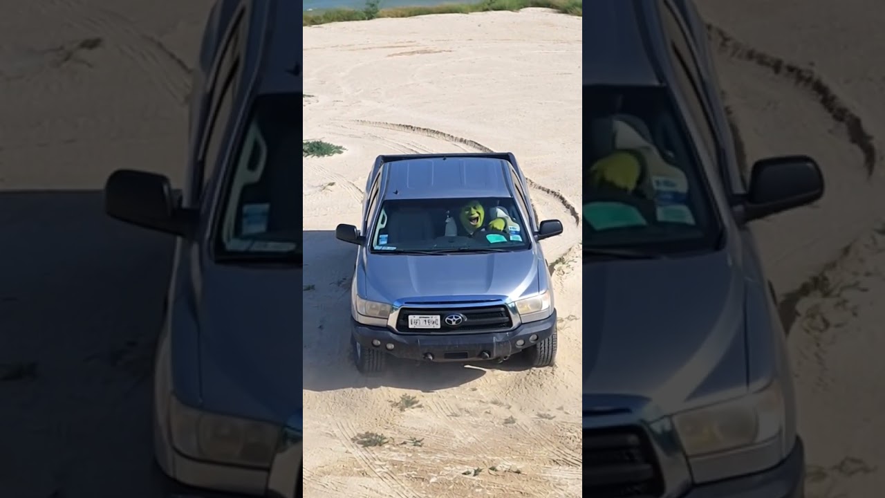 Shrek ready to wreck 