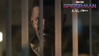 Spider-Man No Way Home NEW IMAX TRAILER Tobey Maguire? (New Footage and Scenes)