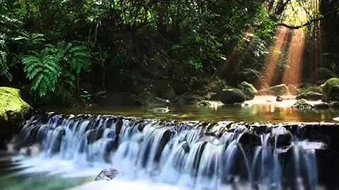 الشيخ إدريس أبكر    تلاوة تهز الجبال    خشوع جميل