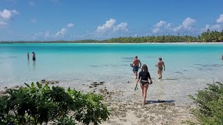 Le paradis se trouve en Polynésie Française ! Rangiroa et son lagon 🏝 #vanlife 