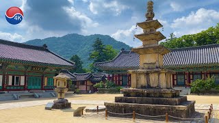 [4K] Korea Walk - Haeinsa Temple.